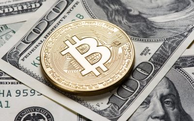 btc preview